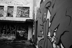 1_DSC0941
