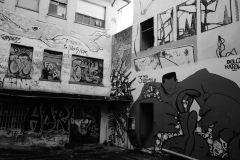 1_DSC0942