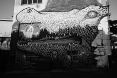 1_DSC0954