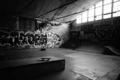 1_DSC0973
