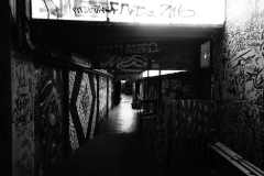 1_DSC0975