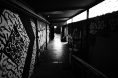 1_DSC0977