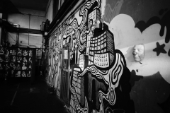 DSC0956