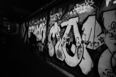DSC0981
