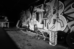 DSC0983