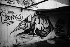 DSC0985