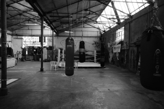 DSC1006