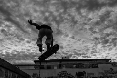 DSC0349_1